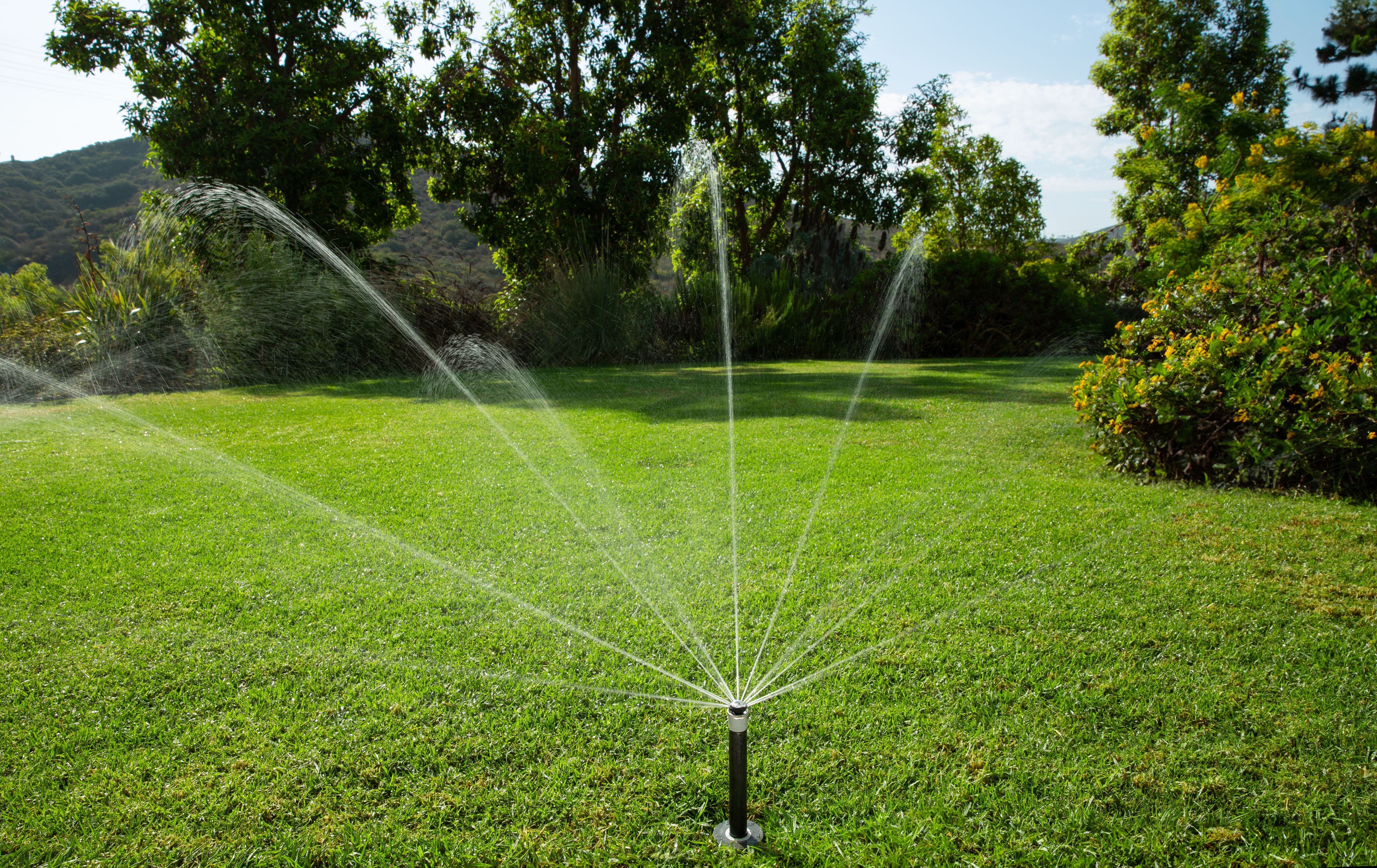 Ein Sprinkler bewässert eine Rasenfläche vor einem Hintergrund aus Bäumen und Sträuchern, gesteuert durch eine umfassende Bewässerungsplanung.