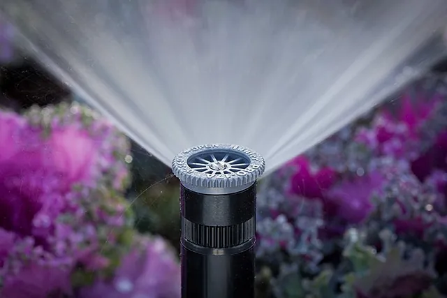 Sprinkler bewässert lila Blumen in einem Beet, unterstützt durch eine gezielte Bewässerungsplanung.